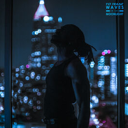 Album cover of Waves In The Moonlight
