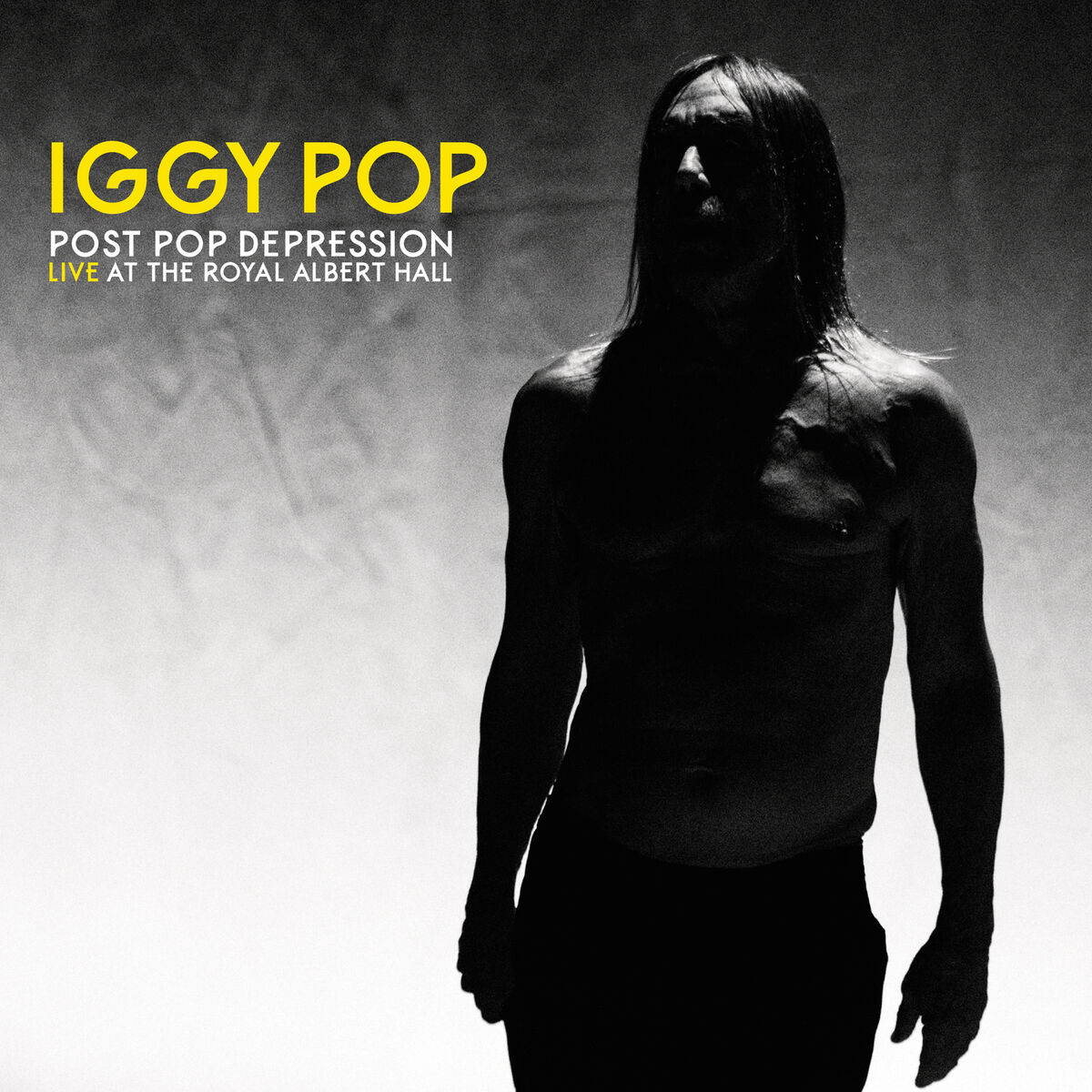 Iggy Pop: альбомы, песни, плейлисты | Слушайте на Deezer