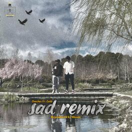 Album cover of Sad-Remix