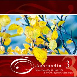 Album cover of Óskastundin 3