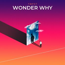 Album cover of Wonder Why