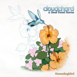 Album cover of Hummingbird