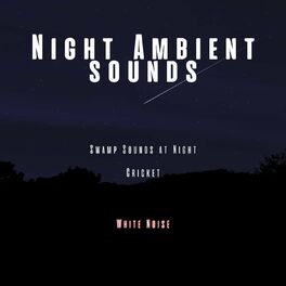 Album cover of Night Ambient Sounds, Cricket, Swamp Sounds at Night with White Noise, Loopable