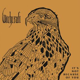 Album cover of It's Not Because of You