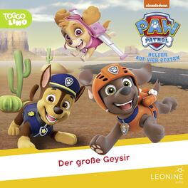 Album cover of Folge 282: Der große Geysir