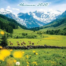 Album cover of Almsommer 2020