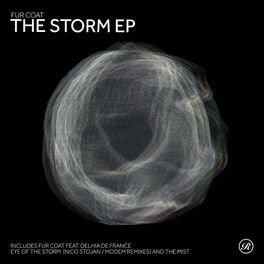 Album cover of The Storm EP