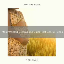 Album cover of ! Most Wanted Dreams and Clear Rest Gentle Tunes