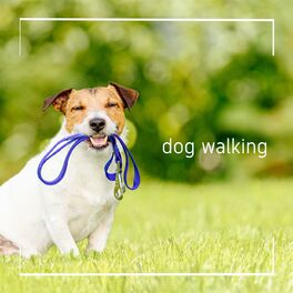 Album cover of dog walking