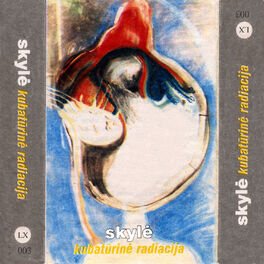 Album cover of Kubatūrinė radiacija