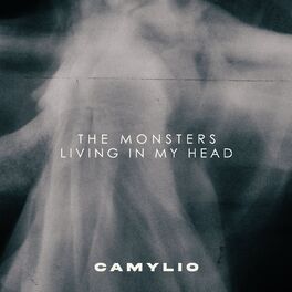 Album cover of the monsters living in my head