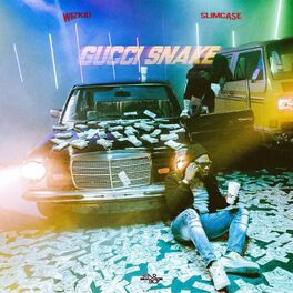 Album cover of Gucci Snake (feat. Wizkid & Slimcase)