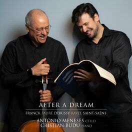 Album cover of After a Dream