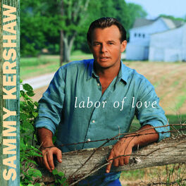 Album cover of Labor Of Love