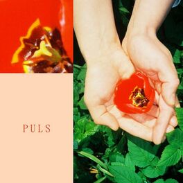 Album cover of Puls