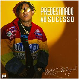Album cover of Predestinado ao Sucesso