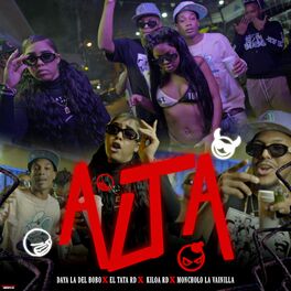 Album cover of Alta