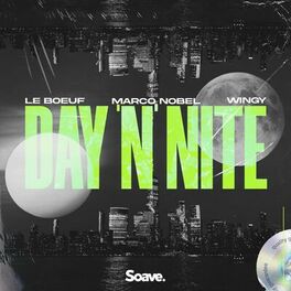 Album cover of Day 'N' Nite (feat. Wingy)