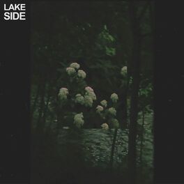 Album cover of lakeside