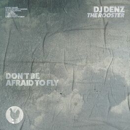 Album cover of Don’t Be Afraid to Fly