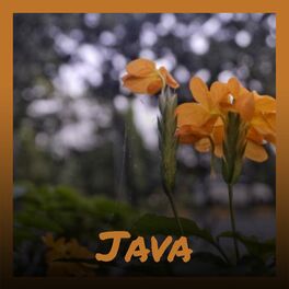 Album cover of Java