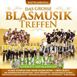 Album cover of Das große Blasmusiktreffen - Instrumental - 40 Superhits der Blasmusik