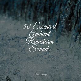 Album cover of 50 Essential Ambient Rainstorm Sounds