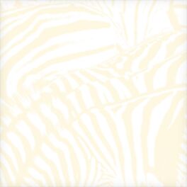 Album picture of Teen Dream