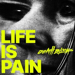 Album cover of Life Is Pain