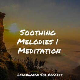 Album cover of Soothing Melodies | Meditation