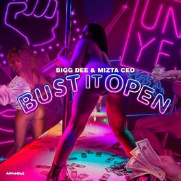 Album cover of Bust It Open