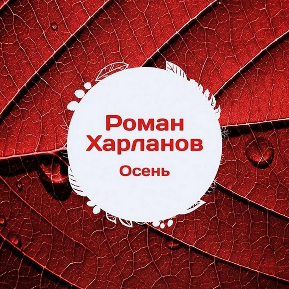 Осень ремикс. Романы про осень. Альбомы осенний Роман. Remix осень. Что такое осень ремикс.