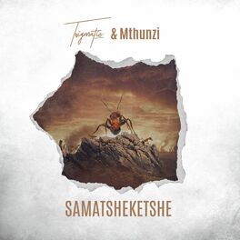 Album cover of Samatsheketshe