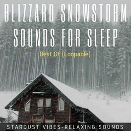 Album cover of Blizzard & Snowstorm Sounds for Sleep: Best Of (Loopable)