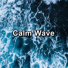 Album cover of Calm Wave
