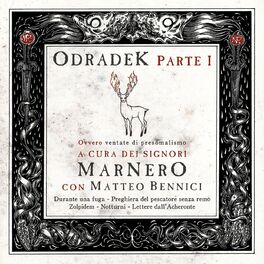 Album cover of Odradek, Pt. I