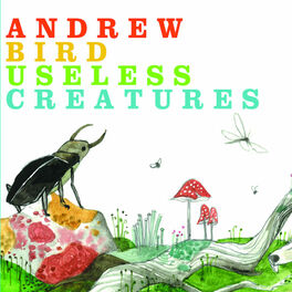 Album cover of Useless Creatures