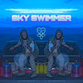 Album cover of Sky Swimmer