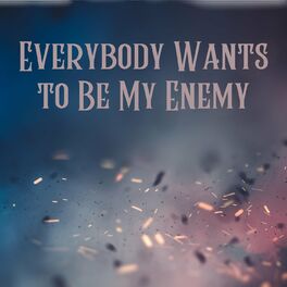Album cover of Everybody Wants to Be My Enemy