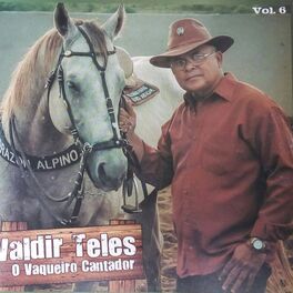 Album cover of O vaqueiro Cantador, vol 6