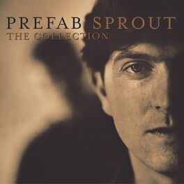 Album cover of The Collection