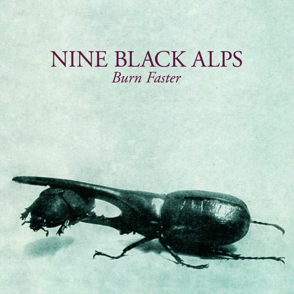 Album snippet. Группа Nine Black Alps. Nine Black Alps Cosmopolitan. Nine Black Alps “everything is”. Nine Black Alps Cosmopolitan (album Version) (album Version).