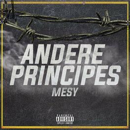 Album cover of Andere Principes
