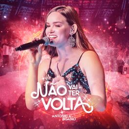 Album cover of Não Vai Ter Volta (Ao Vivo)