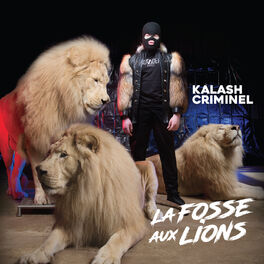 Album cover of La fosse aux lions