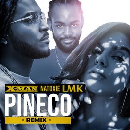 Album cover of Pineco (Remix)