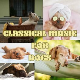 Album cover of Classical Music for Dogs