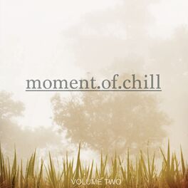Album cover of Moment Of Chill, Vol. 2 (Finest Selection Of Music To Chill)