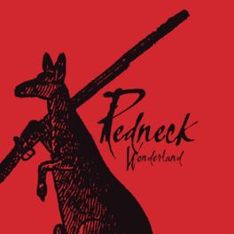 Album cover of Redneck Wonderland