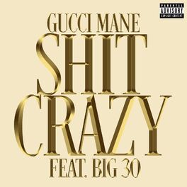 Album cover of Shit Crazy (feat. BIG30)